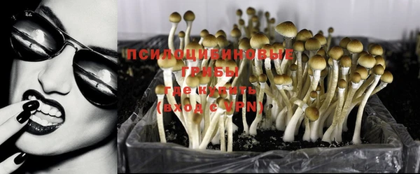 амф Пересвет