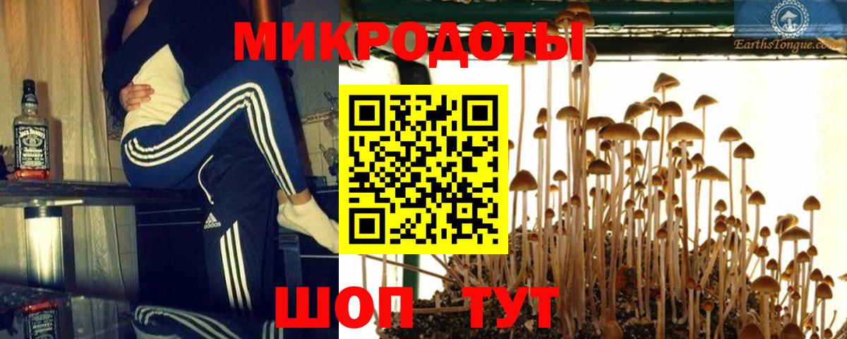 Псилоцибиновые грибы Magic Shrooms Североморск