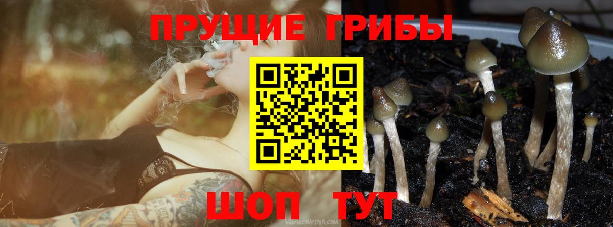 Галлюциногенные грибы Magic Shrooms  Вход с VPN  Североморск 